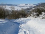 IMG_3409