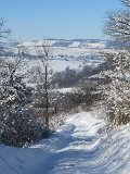 IMG_3415