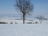 IMG_3420