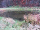 Köhlerhütte Delliehausen (20)