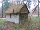 IMG_3795