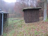 IMG_3828