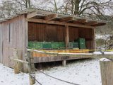 IMG_3896