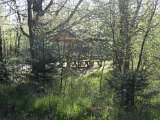 IMG_5947