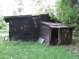IMG_6004