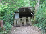 IMG_6017