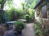IMG_6019