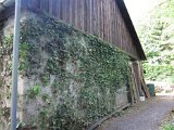 IMG_6020