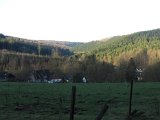 IMG_8784