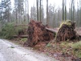 Orkanschaeden-Oberhalb-Klaerchensruh_180107_04