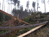 Orkanschaeden-Oberhalb-Klaerchensruh_180107_05